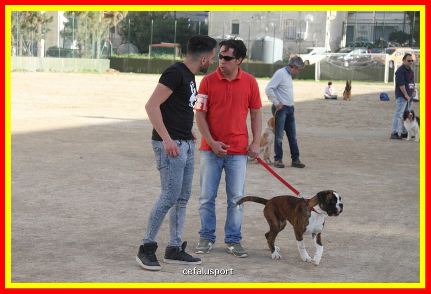 180311 mostra_canina 128.jpg